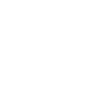22 stars logo